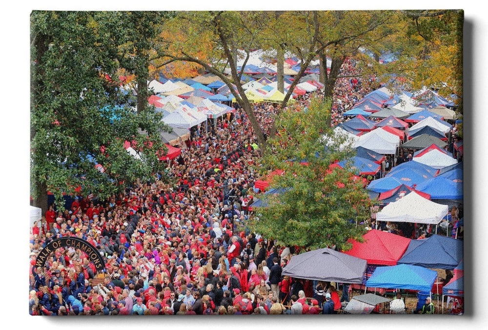 Ole Miss Rebels Aerial Grove Canvas 24x16