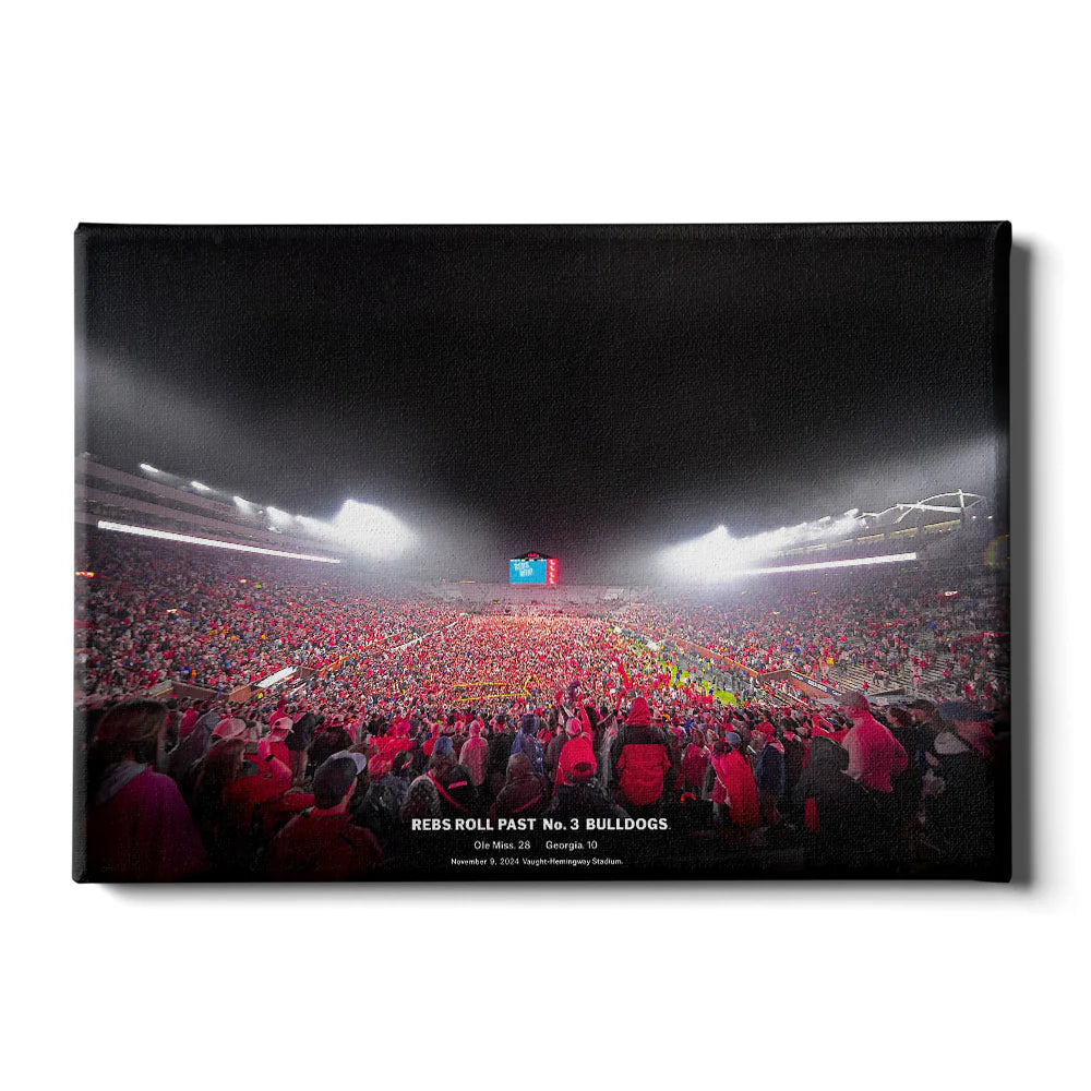 Rebs beat Georgia 24x16 Canvas