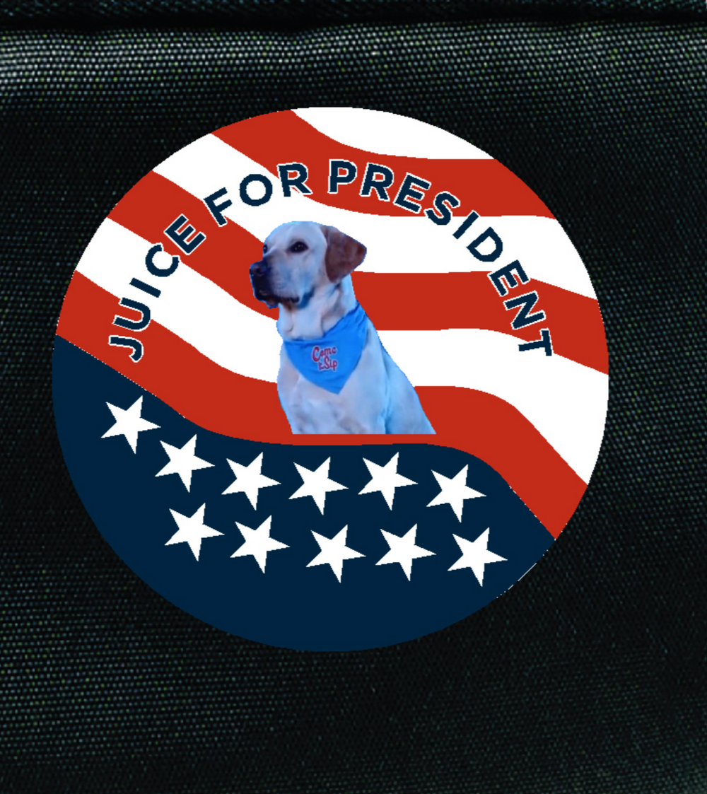 Juice for President Pin