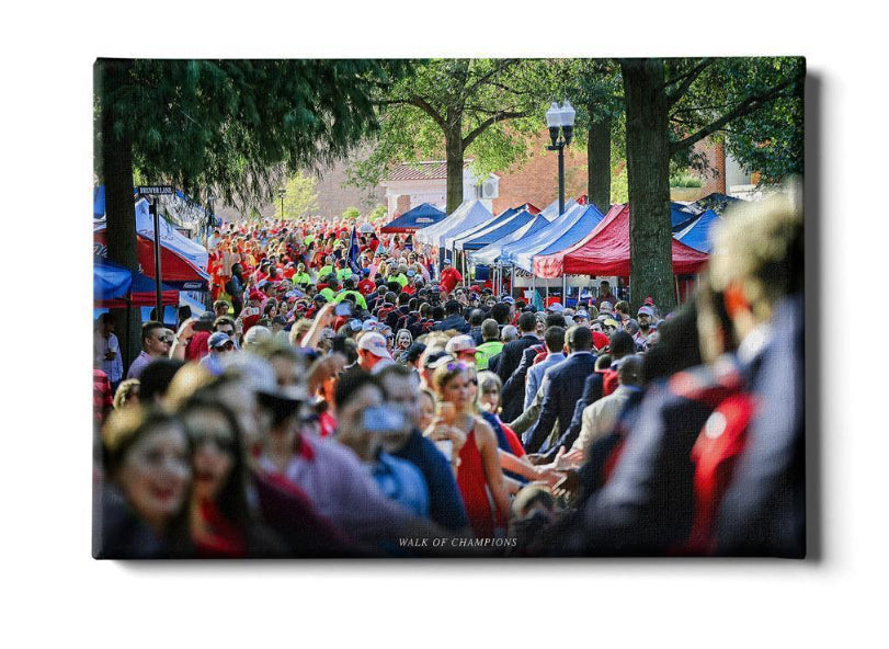 College Wall Art Walk of Champions Through The Grove 24x16 Canvas