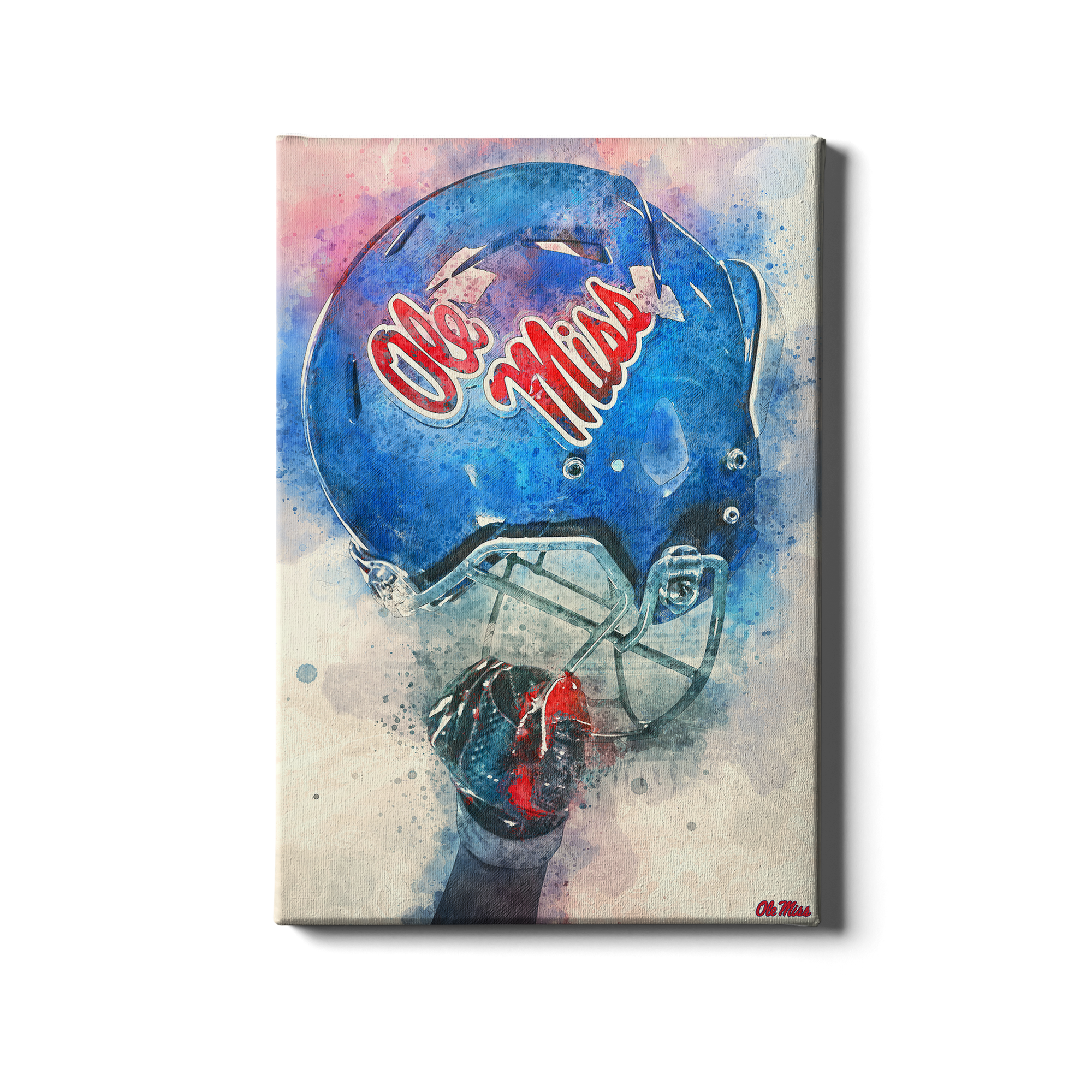 Ole Miss Pride Canvas - 16X24