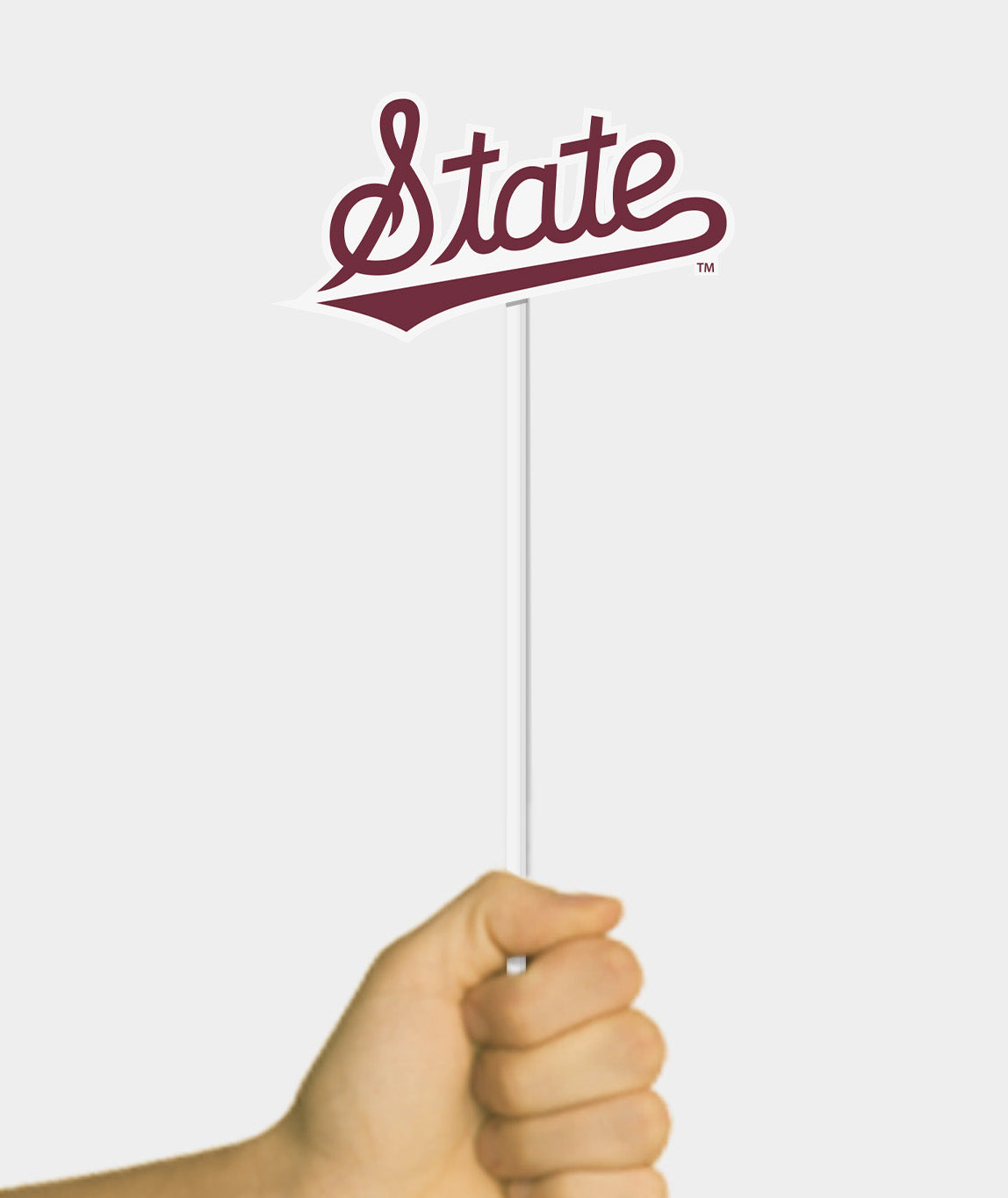 Flag Display State Script Design – The College Corner